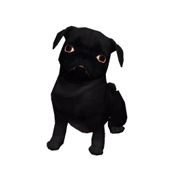 Pug - Black