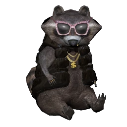 Hollywood Raccoon