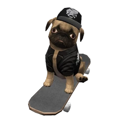 Skater Pug