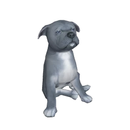 American Staffordshire Terrier Puppy (Blue)