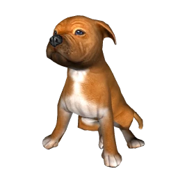 American Staffordshire Terrier Puppy - Brown