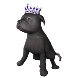 Crowned American Staffordshire Terrier Puppy