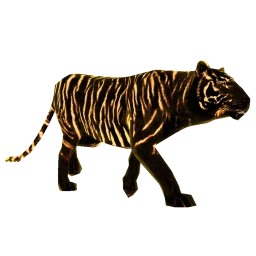 Black And Gold Tiger