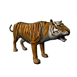 Wild Tiger
