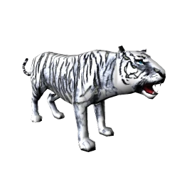 Royal White Tiger