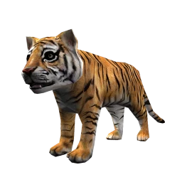 Tiger Cub