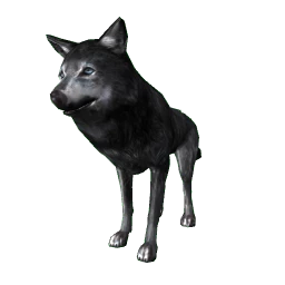 Black Wolf