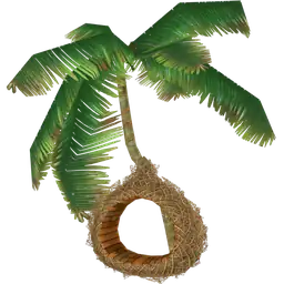 Cosmos Palm Tree Top Swing