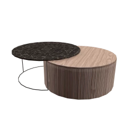 Luxe Ephemeral Style Coffee Table