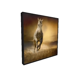 Open Plains Painting