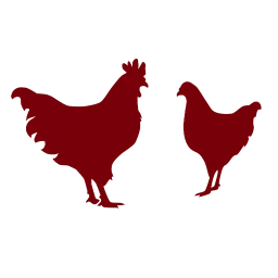 Twilight Hens Wall Art