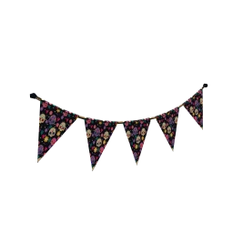 Cosmos Colourful Festivities Pennants