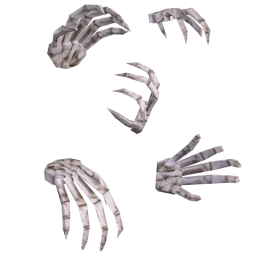 Cosmos Feel The Ground Wall Decor