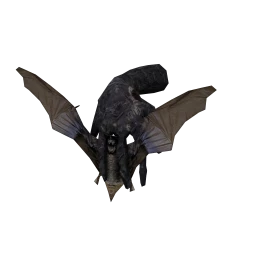 Cosmos Bat In My Hand Decoration