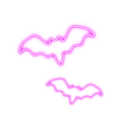 Cosmos Pink Bats Neon Lights
