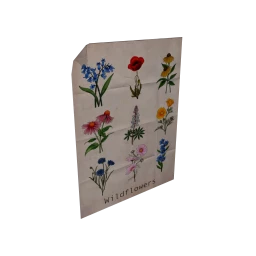 Cosmos Wildflowers Poster