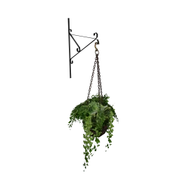 LOFT Victoria Hanging Plant