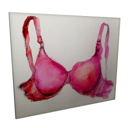 Dream House Hot Pink Bra Wall Art