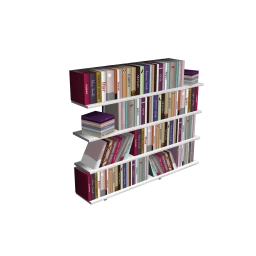 Aspirational Volumes Bookshelf
