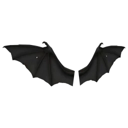 Wing of Bat