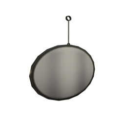 Loft Sylvan Reflection Hanging Mirror