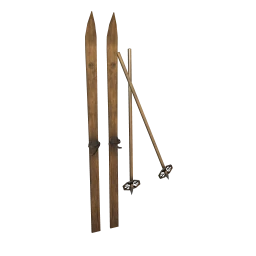 Luxe Vintage Skis