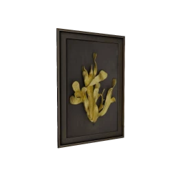 Luster Almeida Wall Art