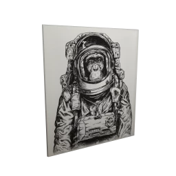 Special Astronaut Wall Art