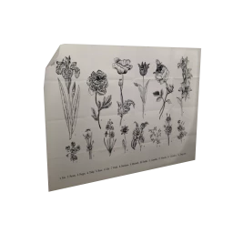 Flower Chart Wall Art