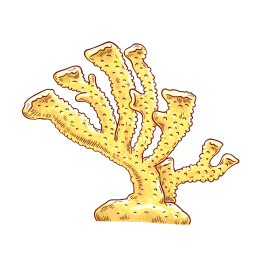 Branching Coral Sticker