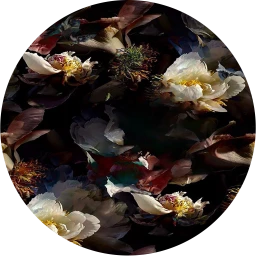 Amour Prominence Wallpaper