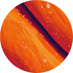 Cosmos Painted Pumpkin Wallpaper