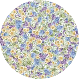 Cosmos Spring Garden Flower Print Wallpaper