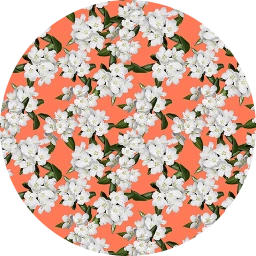 Spring White Flower Wallpaper