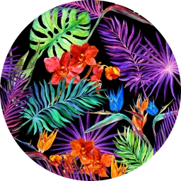 La Tropicana Wallpaper