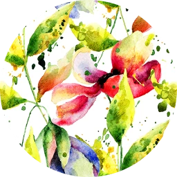 Poppy Watercolour Wallpaper