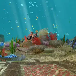 Under The Sea