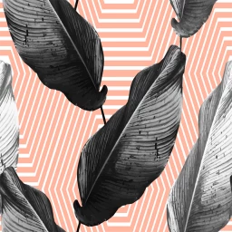 Feather Embellish - Print