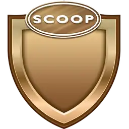 Bronze Scoop Badge 