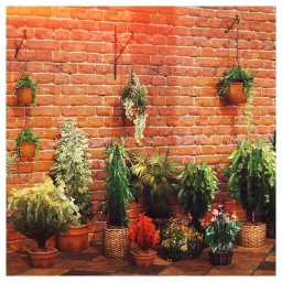 The Garden Collection